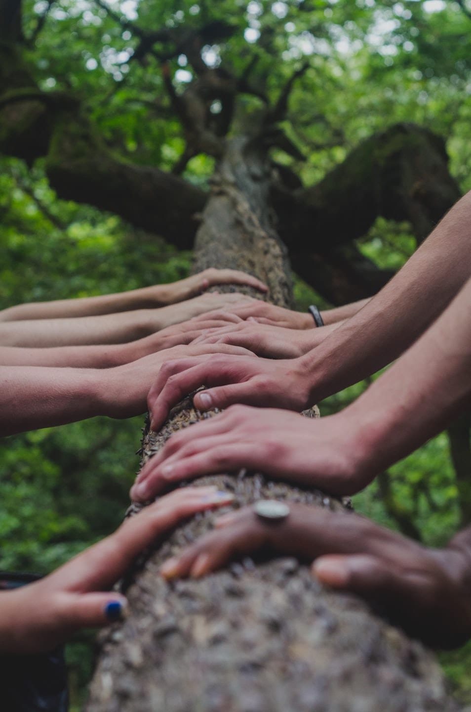 Ateliers Participatifs